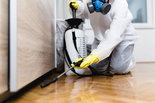 Pest Prevention Services in Providence, KY